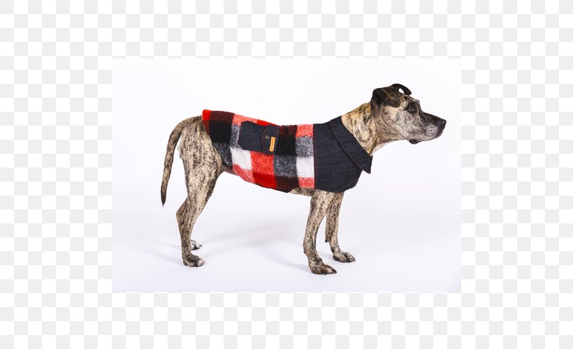 Dog Breed Dog Clothes Clothing, PNG, 500x500px, Dog Breed, Breed, Clothing, Collar, Dog Download Free