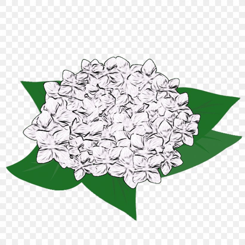 French Hydrangea Illustration Petal Design Flower, PNG, 1000x1000px, French Hydrangea, Flower, Flowering Plant, Hydrangea, Petal Download Free