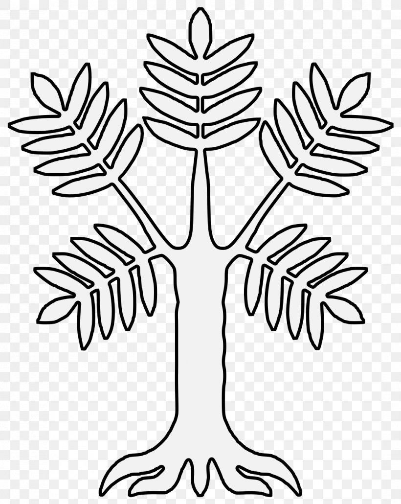 Line Art Leaf Tree Vascular Plant Plant, PNG, 1070x1345px, Line Art, Branch, Coloring Book, Grass Family, Leaf Download Free