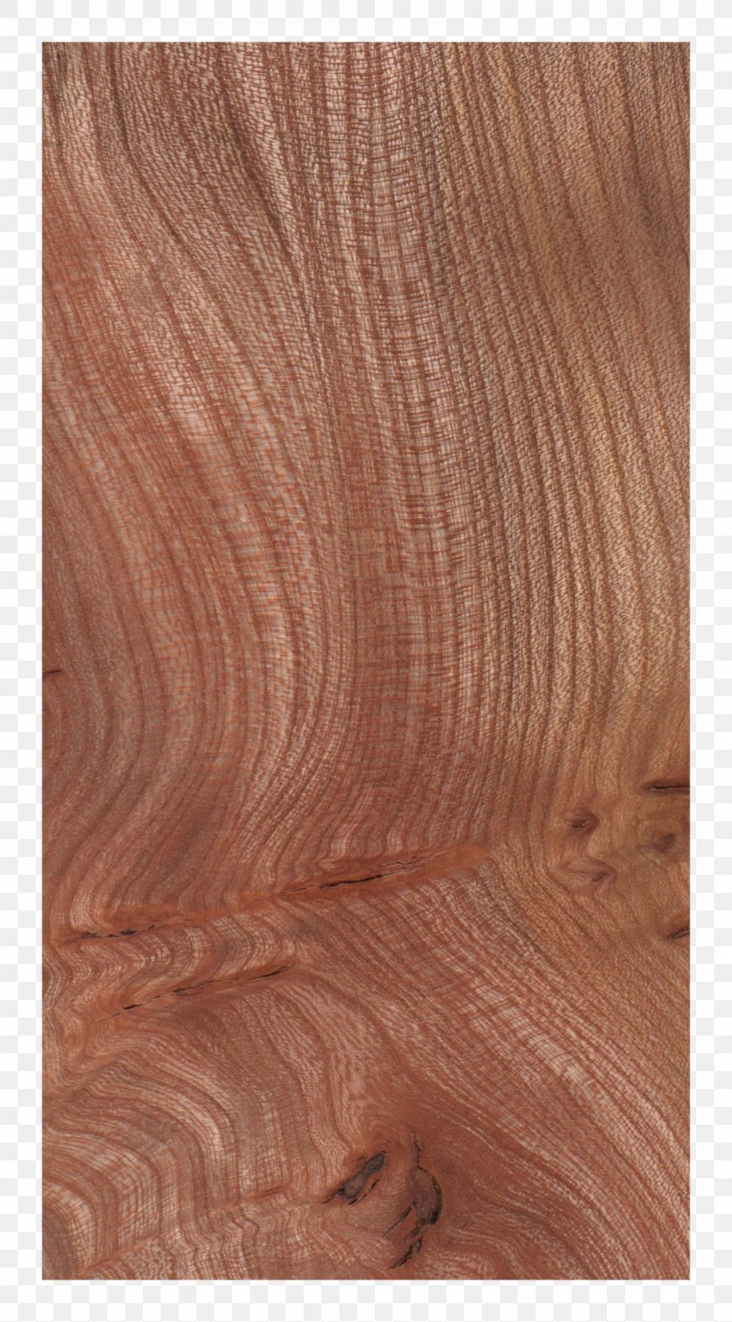 Sebastian Cox Ltd Hardwood Wood Flooring, PNG, 1000x1807px, Sebastian Cox Ltd, Brown, Caramel Color, Floor, Flooring Download Free