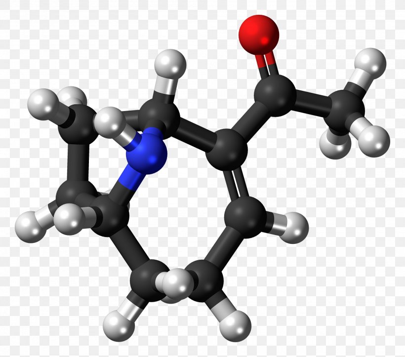 Anatoxin-a Ball-and-stick Model Phthalic Acid Molecule Chemistry, PNG, 2000x1765px, Anatoxina, Acid, Anabaena, Ballandstick Model, Bluegreen Bacteria Download Free