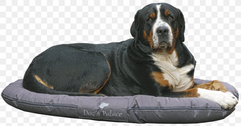 Bernese Mountain Dog Puppy Pet Dog Training, PNG, 1024x538px, Bernese Mountain Dog, Breed, Collar, Dog, Dog Bed Download Free
