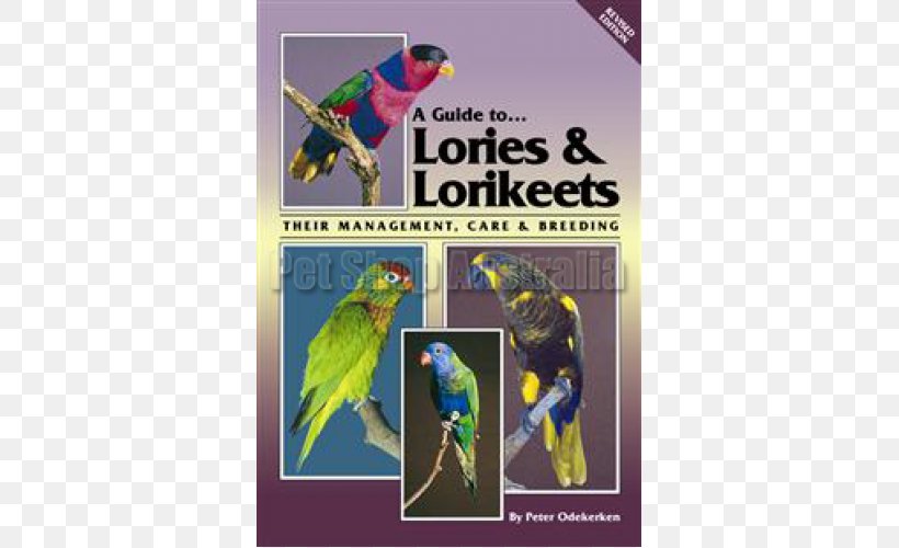 Macaw Parrot A Guide To Lories And Lorikeets (Revised Edition): Their Management, Care And Breeding Cockatiel Bird, PNG, 500x500px, Macaw, Advertising, Beak, Bird, Bird Supply Download Free