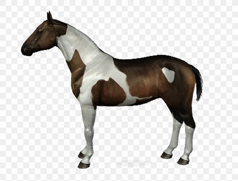 Stallion American Paint Horse Bridle Halter, PNG, 874x666px, 3d Computer Graphics, Stallion, American Paint Horse, Animal Figure, Bit Download Free