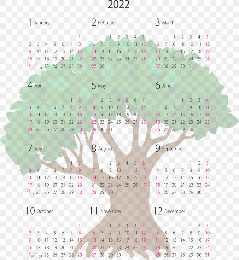 2022 Yearly Calendar Printable 2022 Yearly Calendar, PNG, 2755x2999px, Root, Common Couch, Grass, Grasses, Herbaceous Plant Download Free