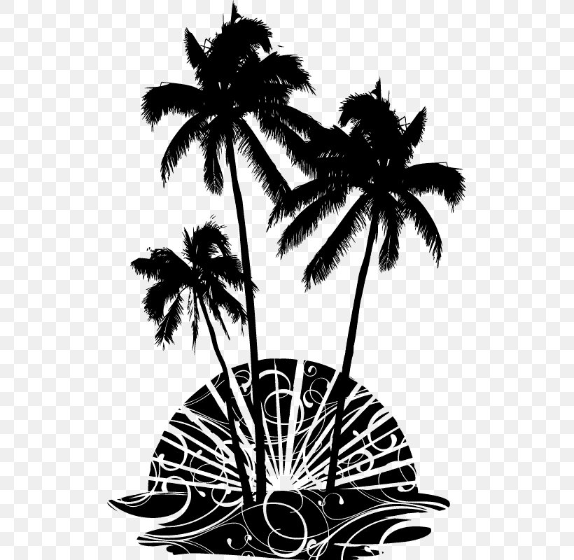 Asian Palmyra Palm Arecaceae Wall Decal Woody Plant, PNG, 513x800px, Asian Palmyra Palm, Arecaceae, Arecales, Black And White, Borassus Download Free