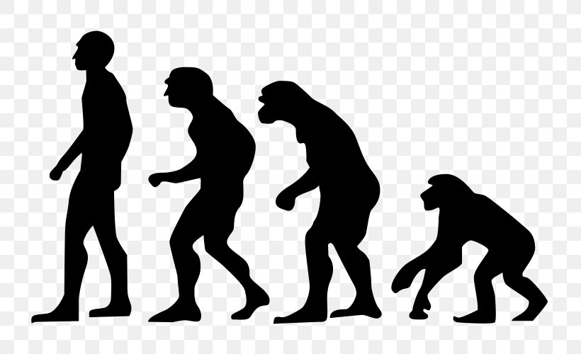 Desktop Wallpaper Human Evolution Wrestling T-shirt Wall Decal, PNG, 800x500px, Evolution, Charles Darwin, Display Resolution, Family Pictures, Friendship Download Free