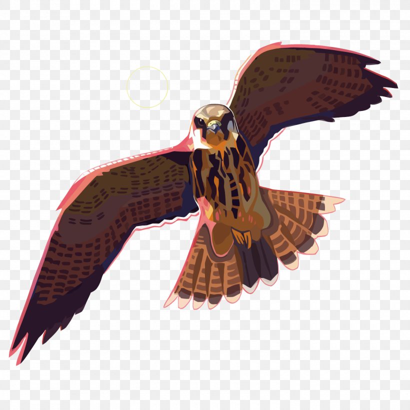 Eagle Drawing DeviantArt, PNG, 1500x1500px, Eagle, Animal, Art, Beak, Bird Download Free
