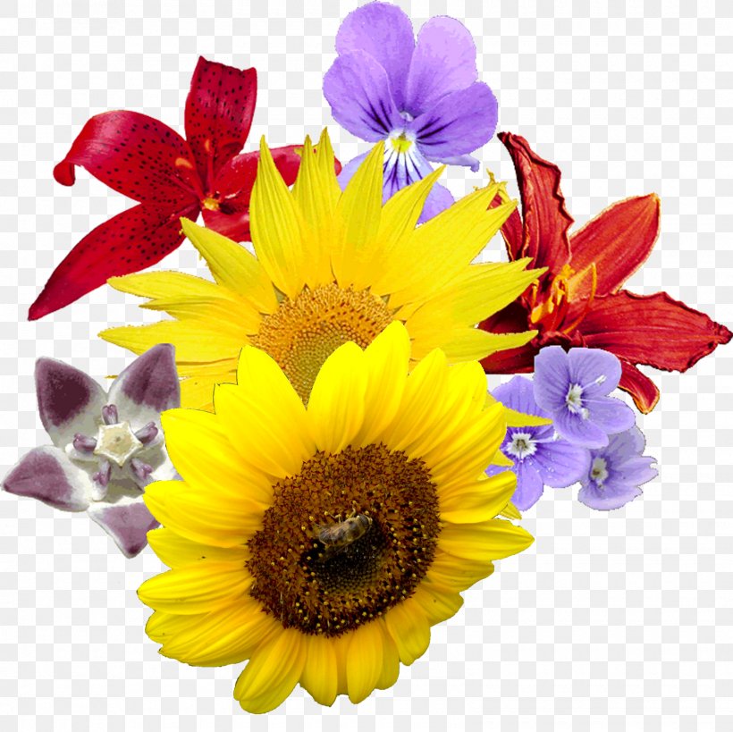 Flower Bouquet Cut Flowers Clip Art, PNG, 1600x1600px, Flower Bouquet, Chrysanths, Cut Flowers, Dahlia, Daisy Download Free