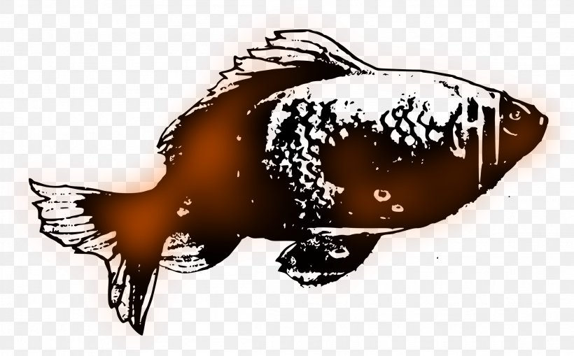 Goldfish Clip Art, PNG, 2310x1434px, Goldfish, Animal, Drawing, Fauna, Fish Download Free
