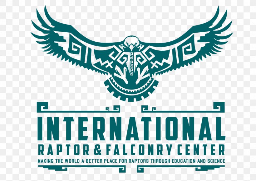 Logo Bald Eagle Design Falconry, PNG, 1041x739px, Logo, Area, Bald Eagle, Bird Of Prey, Brand Download Free