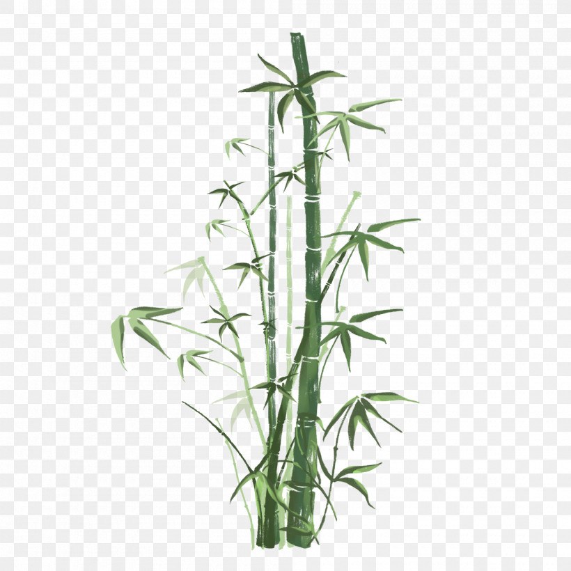 Bamboo Flower Plant Terrestrial Plant Plant Stem, PNG, 2000x2000px, Bamboo, Flower, Grass Family, Plant, Plant Stem Download Free