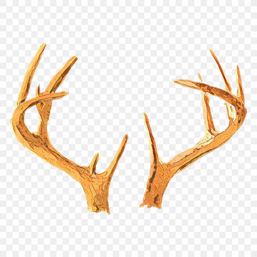 Antler Horn Elk Deer Fawn, PNG, 2048x2048px, Cartoon, Antler, Deer, Elk, Fawn Download Free