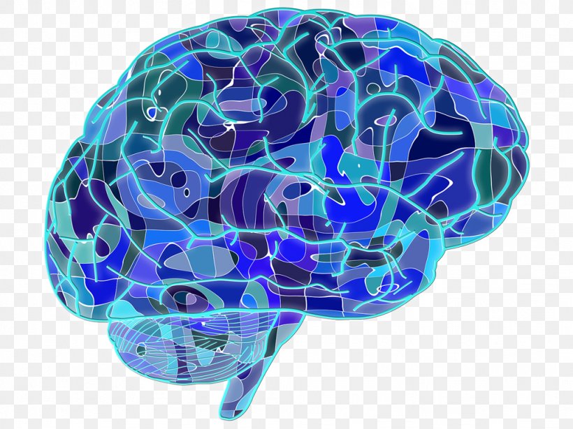 Blue Brain Project Neuron Human Brain Neuroscience, PNG, 1024x768px, Watercolor, Cartoon, Flower, Frame, Heart Download Free