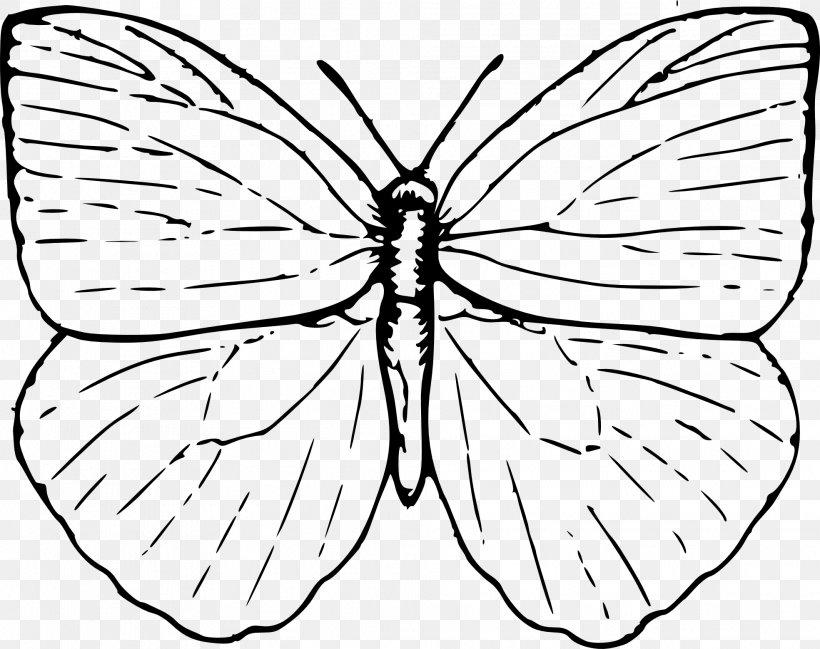 Butterfly Drawing Clip Art, PNG, 1969x1560px, Butterfly, Arthropod, Artwork, Black And White, Brush Footed Butterfly Download Free