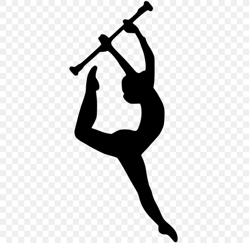 Color Guard Baton Twirling Colour Guard Winter Guard Marching Band, PNG, 371x800px, Color Guard, Area, Arm, Baton, Baton Twirling Download Free