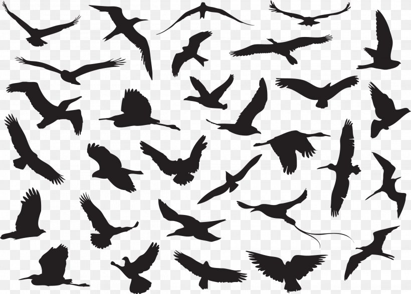 Hummingbird Crane Flock, PNG, 2500x1795px, Bird, Animal Migration, Beak, Bird Migration, Black And White Download Free