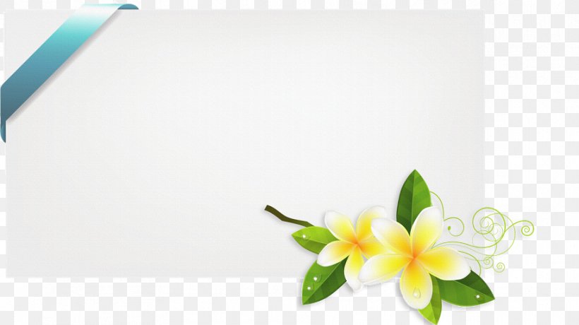 Photography Author Albom Floral Design Clip Art, PNG, 912x512px, Photography, Albom, Author, Computer, Flora Download Free