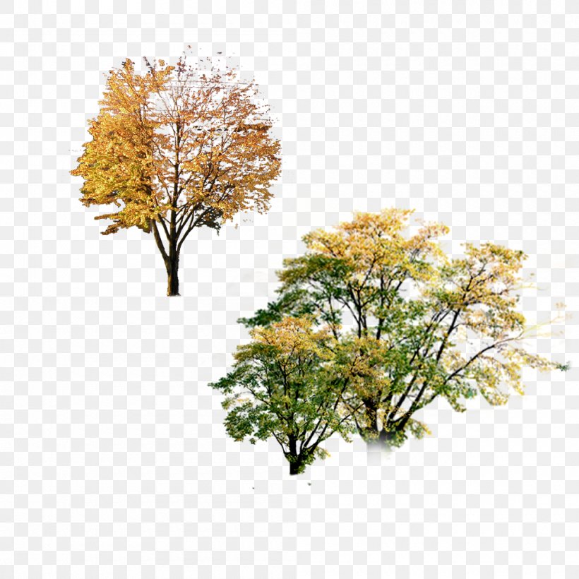 Autumn Poster Tree Landscape, PNG, 1000x1000px, Autumn, Branch, Fukei, Landscape, Leaf Download Free