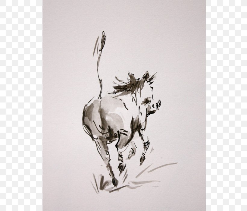Cattle Deer Horse Hare Sketch, PNG, 700x700px, Cattle, Art, Artwork, Black And White, Branch Download Free