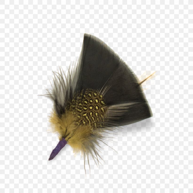 Feather Bird Hat Goorin Bros. Hackle, PNG, 1120x1120px, Feather, Bird, Black, Cap, Clothing Accessories Download Free