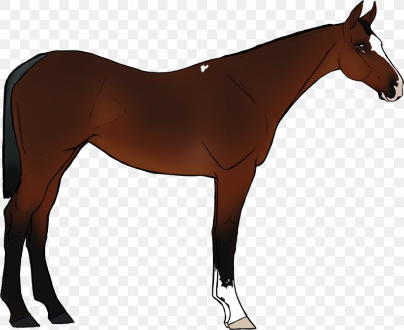 Foal Pony Mustang Mare Rein, PNG, 989x808px, Foal, Bit, Bridle, Colt, English Riding Download Free