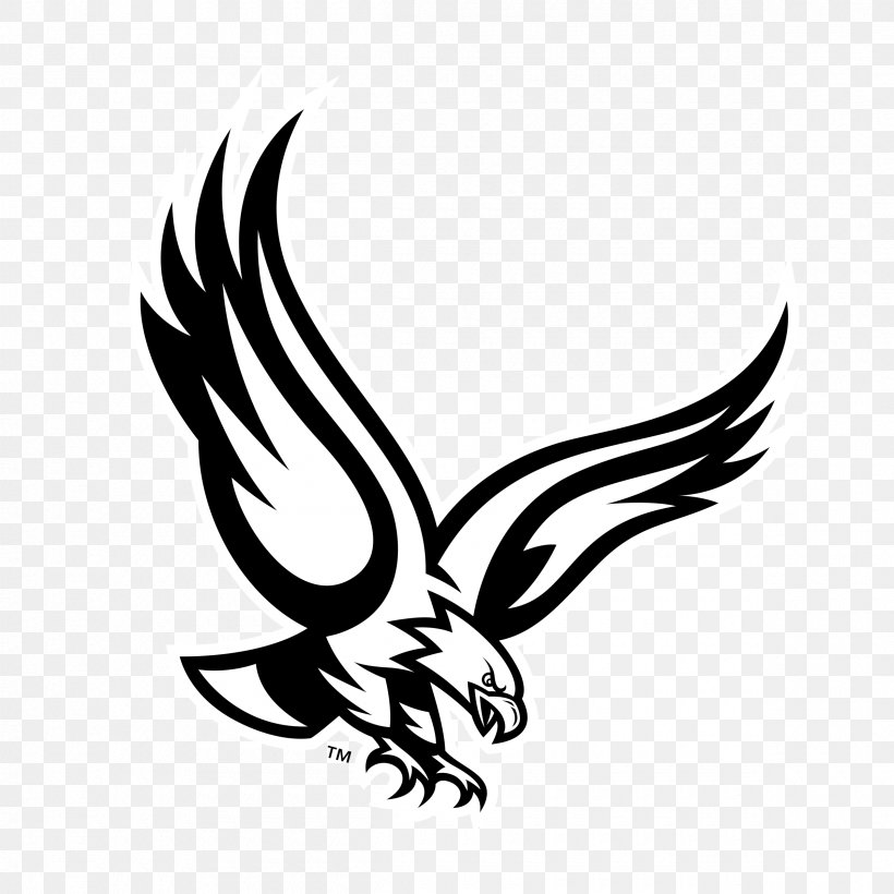 Philadelphia Eagles Bald Eagle, PNG, 2400x2400px, Philadelphia Eagles, Bald Eagle, Beak, Bird, Bird Of Prey Download Free