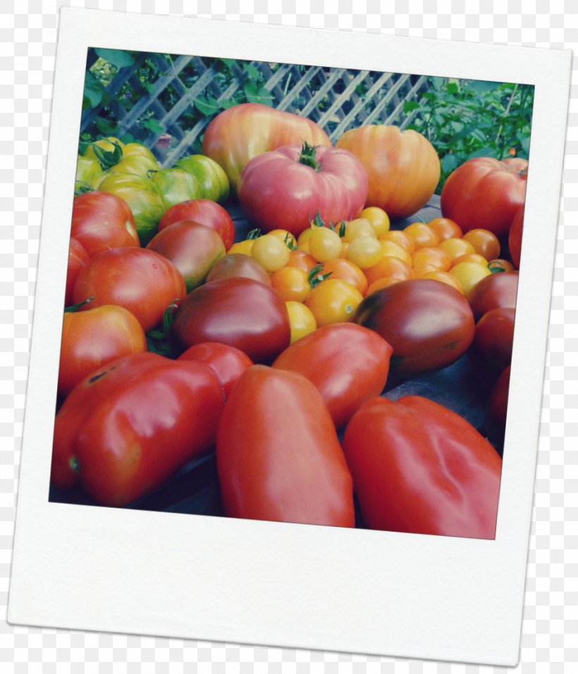 Plum Tomato Vegetarian Cuisine Bush Tomato Bell Pepper, PNG, 941x1099px, Plum Tomato, Bell Pepper, Bell Peppers And Chili Peppers, Bush Tomato, Capsicum Annuum Download Free