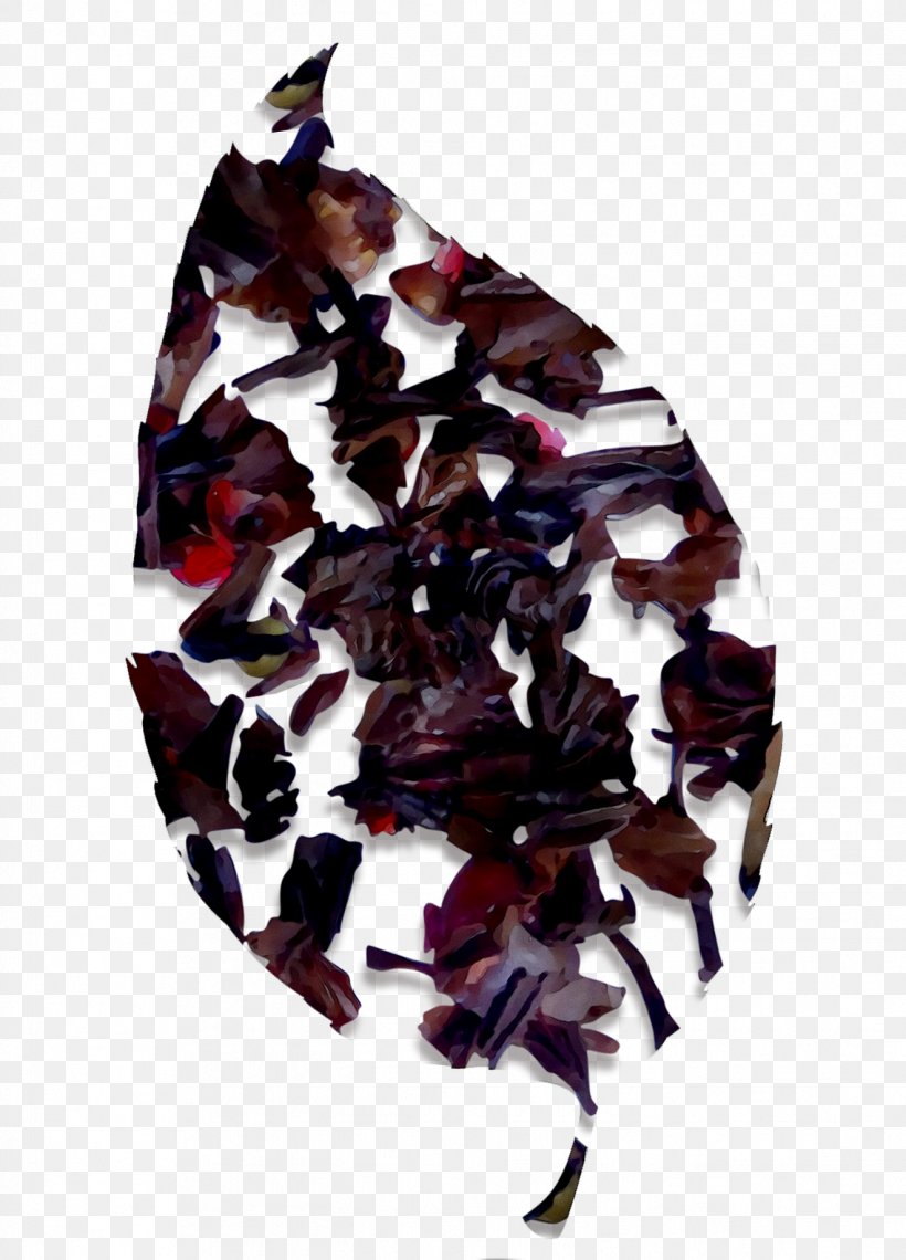 Purple Edible Seaweed, PNG, 1322x1839px, Purple, Edible Seaweed, Fashion Accessory, Plant, Violet Download Free