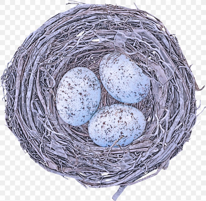 Egg, PNG, 1362x1333px, Egg, Bird, Bird Nest, Nest Download Free