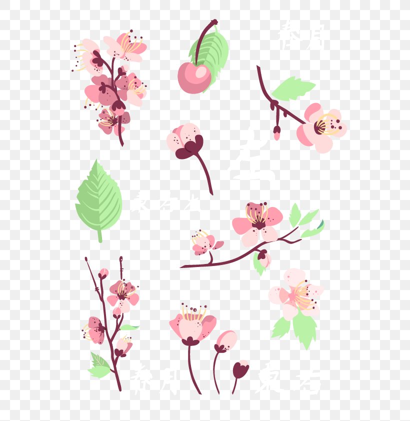 Floral Design Petal Flower Pattern, PNG, 596x842px, Floral Design, Blossom, Branch, Cherry, Cherry Blossom Download Free