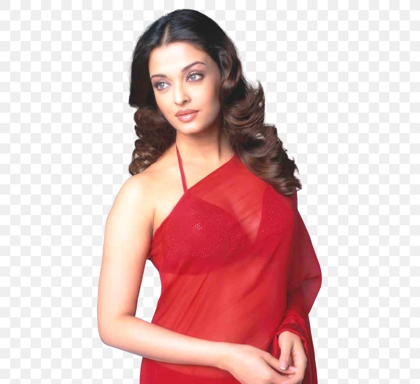 Aishwarya Rai Actor Desktop Wallpaper Image Mela, PNG, 500x750px, Aishwarya Rai, Abdomen, Actor, Bachchan Family, Bollywood Download Free