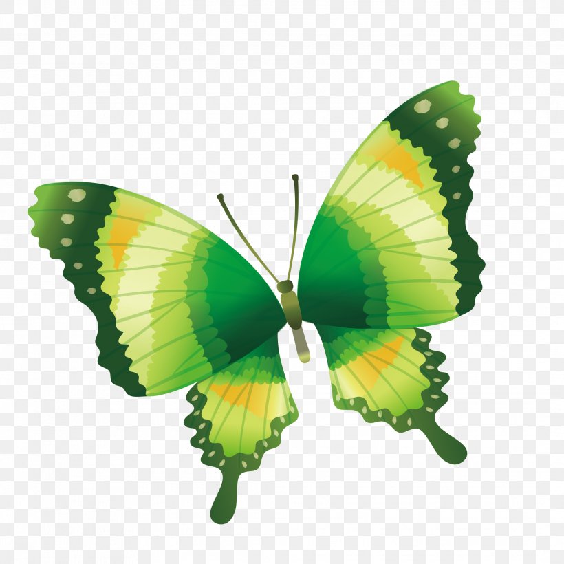 Butterfly Drawing Clip Art, PNG, 2133x2133px, Butterfly, Arthropod, Brush Footed Butterfly, Drawing, Flower Download Free