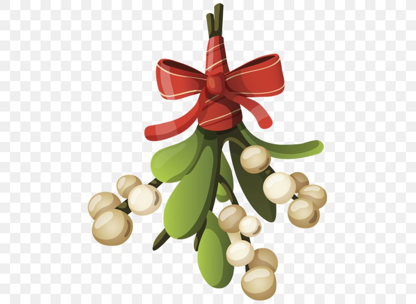 Christmas Ornament Santa Claus Christmas Tree, PNG, 498x600px, Christmas Ornament, Christmas, Christmas Decoration, Christmas Tree, Fruit Download Free