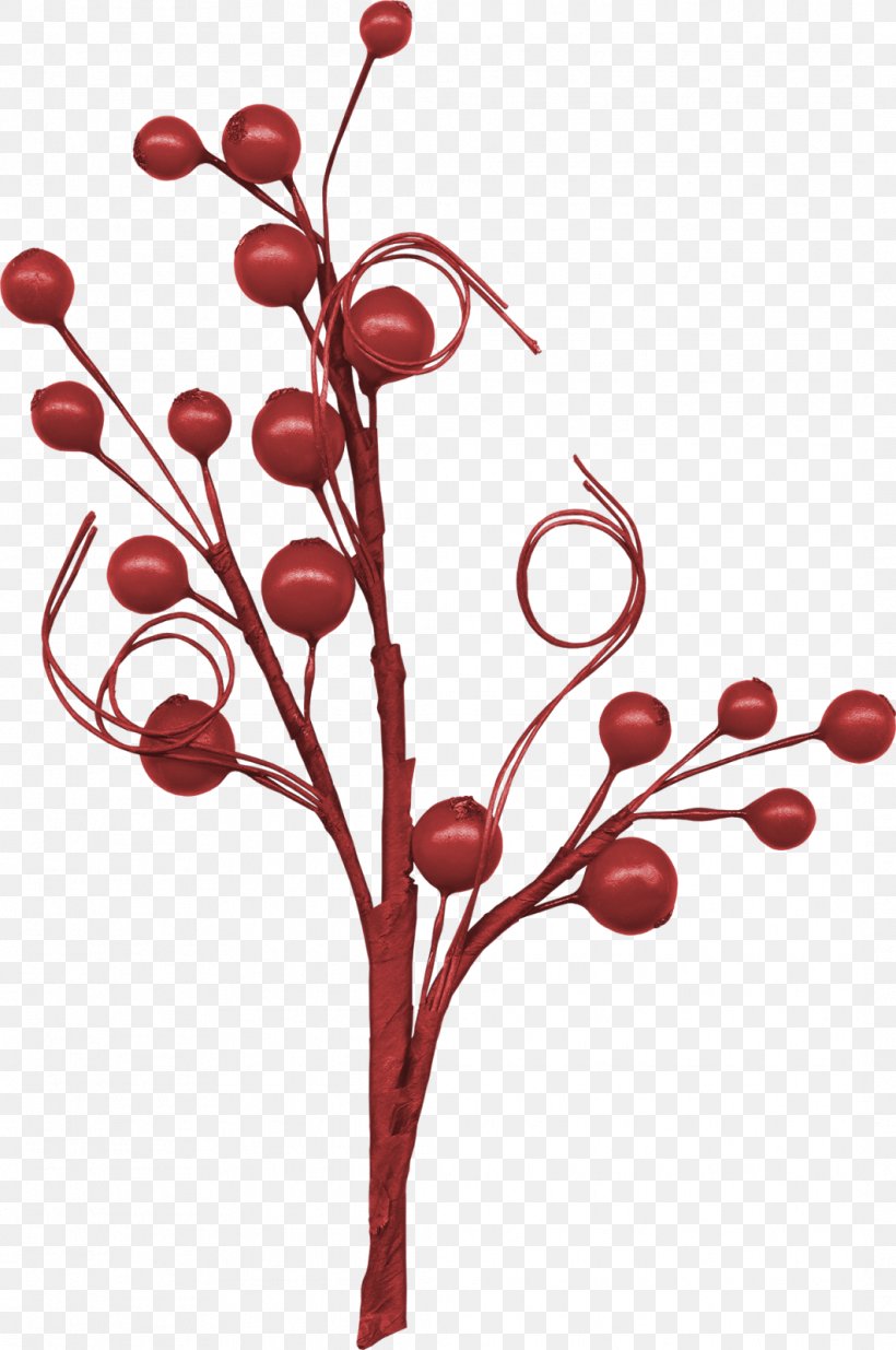 Clip Art, PNG, 1062x1600px, Berry, Branch, Christmas, Computer, Fruit Download Free