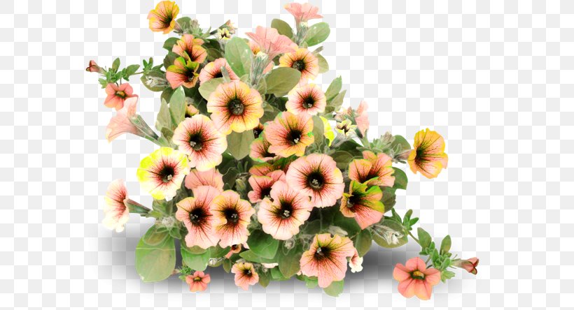 Flower Picture Frames, PNG, 600x444px, Flower, Annual Plant, Flower Garden, Flowering Plant, Flowerpot Download Free