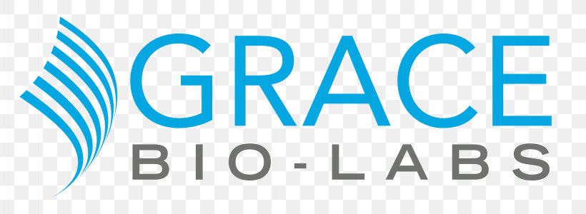 Grace Bio-Labs Grace Bible Chapel Nitrocellulose Slide Grace & Associates Biochip, PNG, 4090x1500px, Biochip, Area, Blue, Brand, Cell Culture Download Free