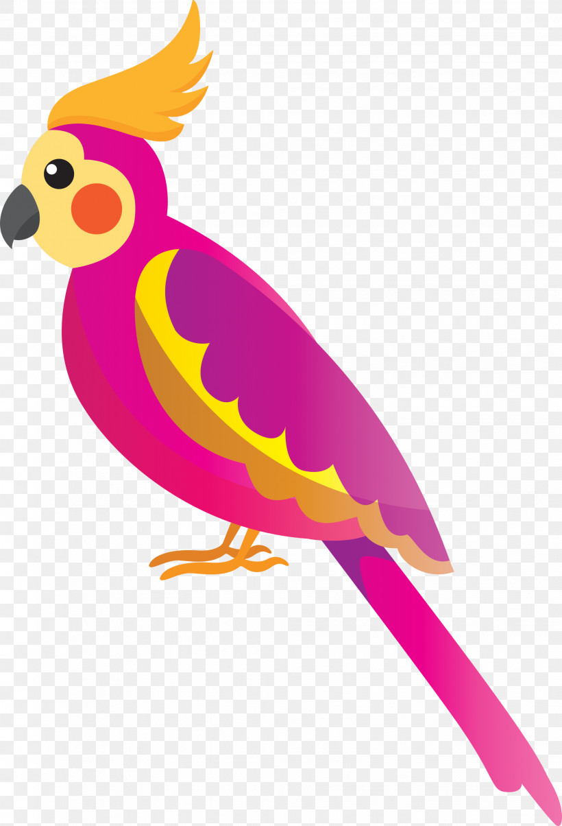 Chicken Parrots Beak Chicken, PNG, 2042x3000px, Bird Cartoon, Beak, Chicken, Cute Bird, Parrots Download Free