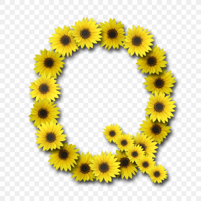 Letter Common Sunflower Alphabet, PNG, 1200x1200px, Letter, Alphabet, Common Sunflower, Daisy Family, Digital Data Download Free