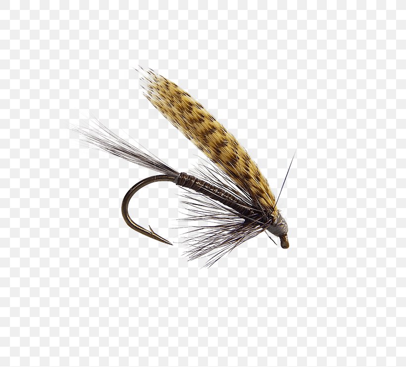 Quill Gordon Artificial Fly Emergers Fly Fishing Insect, PNG, 555x741px, Artificial Fly, Email, Fishing Bait, Fishing Lure, Fly Download Free