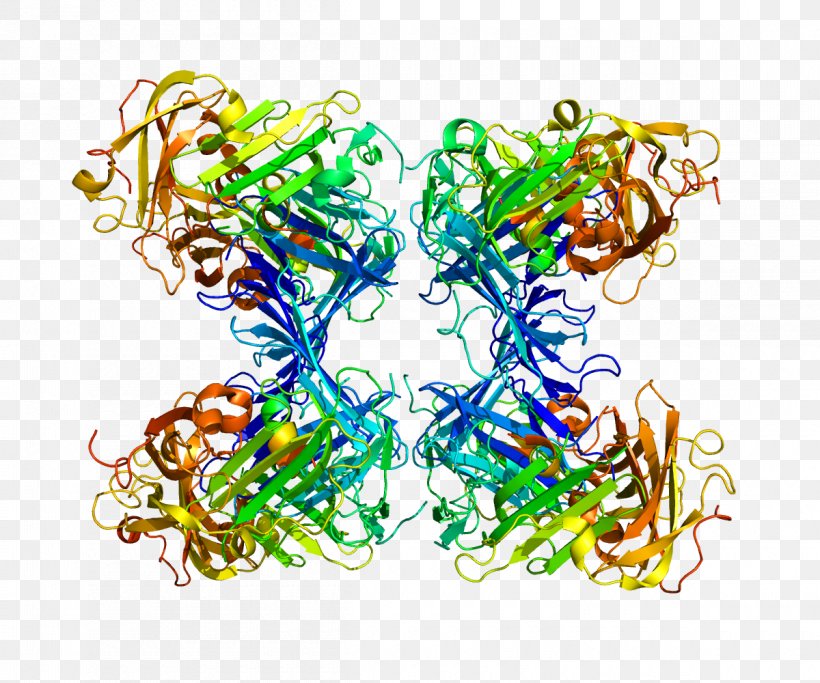 Urokinase Receptor SuPAR Cell Protein, PNG, 1200x1000px, Urokinase Receptor, Art, Body Jewelry, Cell, Cell Membrane Download Free