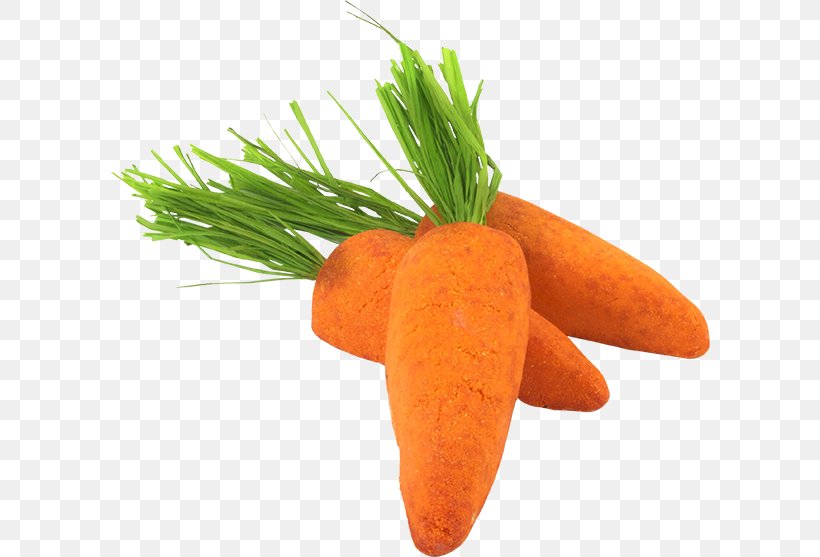 Baby Carrot Food Vegetable Vegetarian Cuisine, PNG, 600x557px, Baby Carrot, Baguio, Carrot, Diet Food, Dill Download Free