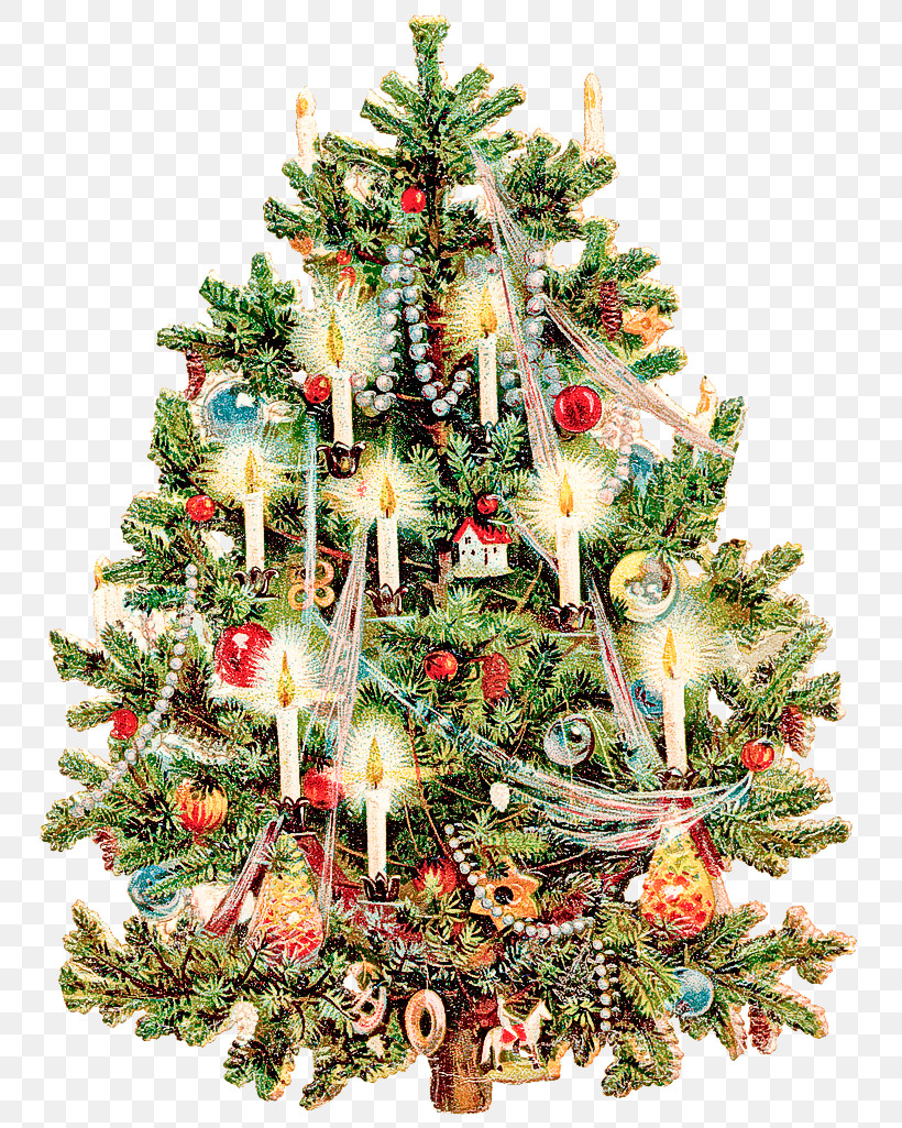 Christmas Tree, PNG, 783x1025px, Christmas Tree, Christmas, Christmas Decoration, Christmas Ornament, Colorado Spruce Download Free