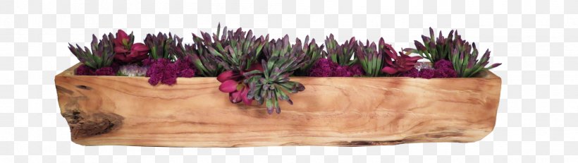 Cut Flowers Purple Violet Magenta, PNG, 2098x593px, Flower, Cut Flowers, Flowerpot, Magenta, Pink Download Free