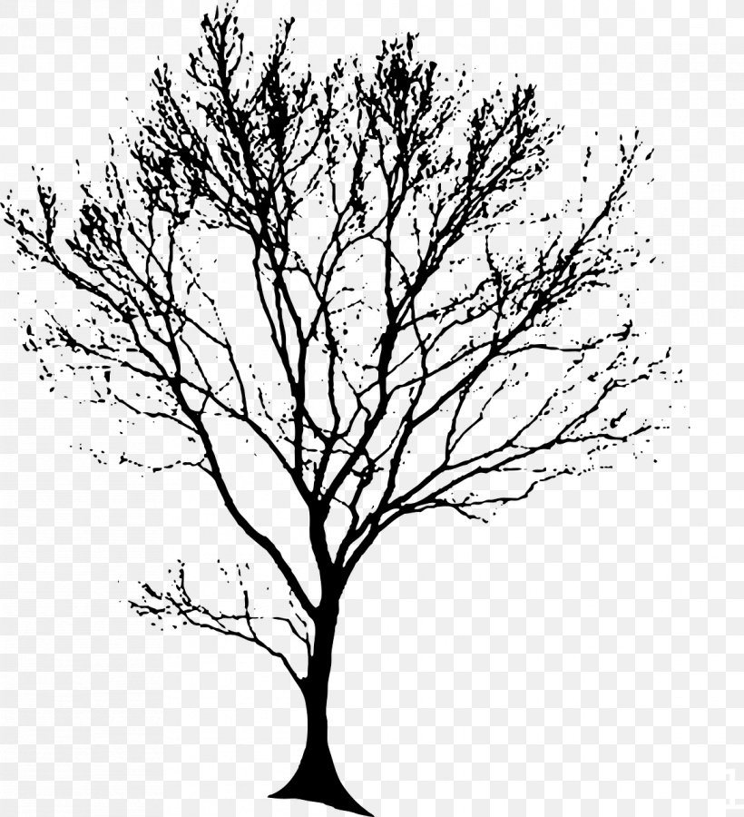 Drawing Tree Silhouette Clip Art, PNG, 1166x1280px, Drawing, Black And White, Branch, Diagram, Flower Download Free