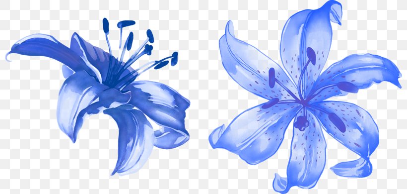 Flower Render Lilium Blue, PNG, 800x390px, Flower, Auglis, Bellflower Family, Blue, Color Download Free