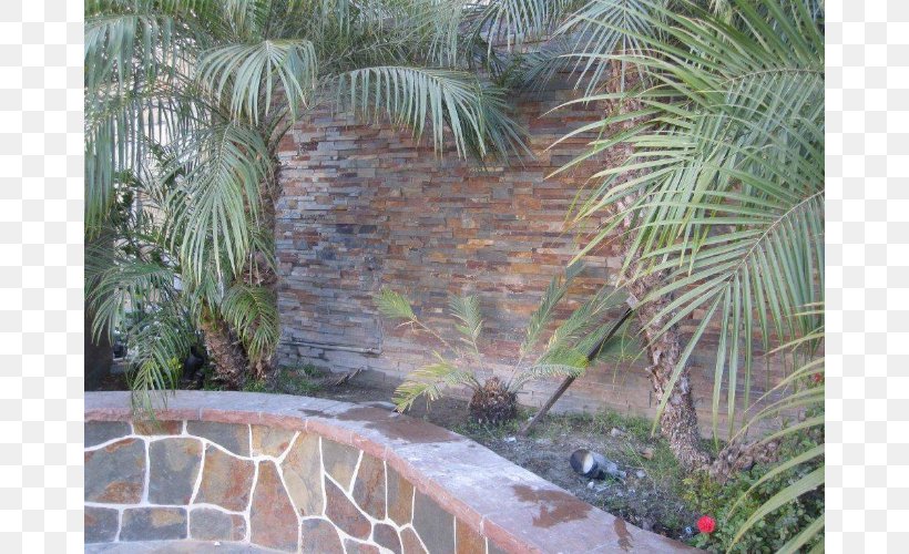 Tile Rock Yard Wall Greenguard Environmental Institute, PNG, 769x500px, Tile, Arecaceae, Arecales, Backyard, Flora Download Free