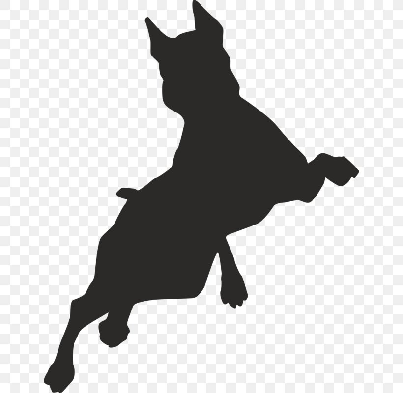 Border Collie Puppy Free Jumping Clip Art, PNG, 800x800px, Border Collie, Animal, Black, Black And White, Carnivoran Download Free