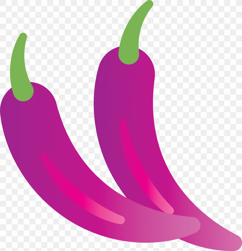 Chili Pepper Pink M Bell Pepper Meter Fruit, PNG, 2893x3000px, Chili Pepper, Bell Pepper, Fruit, Meter, Pink M Download Free