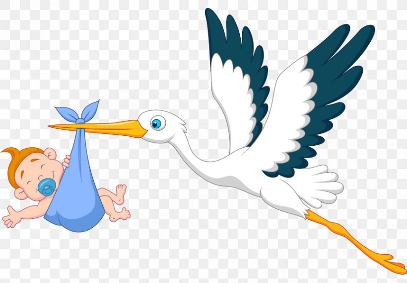 Royalty-free Infant, PNG, 864x600px, Royaltyfree, Art, Beak, Bird, Cartoon Download Free